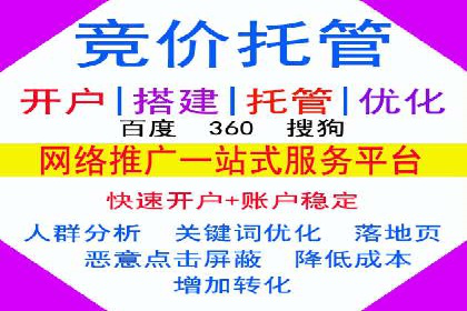 百度推广公司案例解析：如何利用大数据优化营销策略